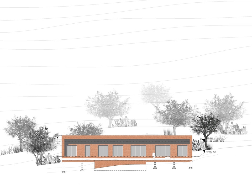 entretien-avec-samia-ben-abdallah-architecte-ba-studio-lambassadrice-de-larchitecture-ecologique-en-tunisie-1
